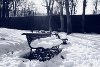 Panchina innevata, gennaio 2009. Giardini Reali