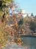 Quiqui - Giornata d'autunno al Valentino
