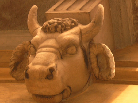 Toro Torino