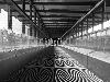 Torino Lingotto, sopra la passerella mobile che non funziona mai...
