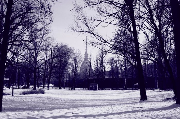 A spasso nella neve, gennaio 2009. Giardini Reali