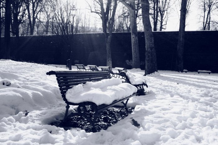 Panchina innevata, gennaio 2009. Giardini Reali