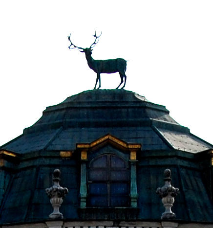 Sulla vetta di Stupinigi