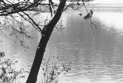 Fiume Po