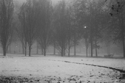 Inverno ai giardini reali