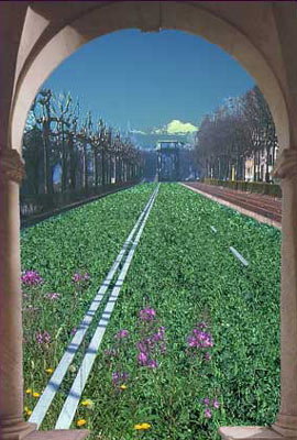 Una lunga e corta passeggiata, come la vita: tra pochi fiori su d'un tappeto di verzura, e tra alti alberi senza foglie. Per alcuni; l'arco del trionfo . La montagna , silente aspetta.