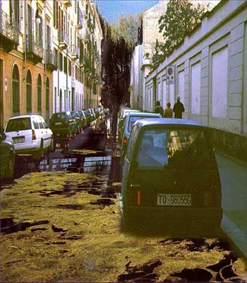 Che vale una bella vista lassÃ¹ all'ultimo piano, quando una melma schiumosa alza al cielo il grido del pantano?
