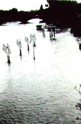 Acqua alta ai murazzi per straripamento del po.