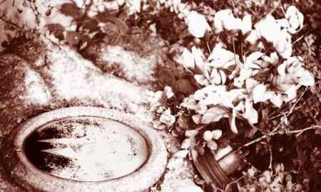I dimenticati del cimitero Monumentale