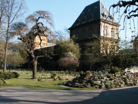 Botanico architettonico