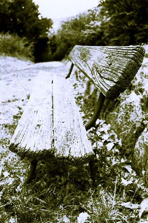 panchina
