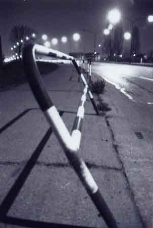 viale alberato