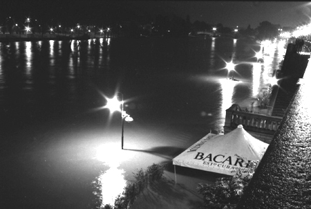 Bacardi