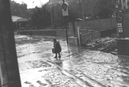 La gattara, dopo l'alluvione