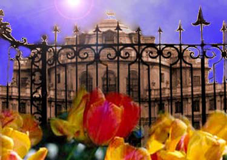 Stupinigi flowers