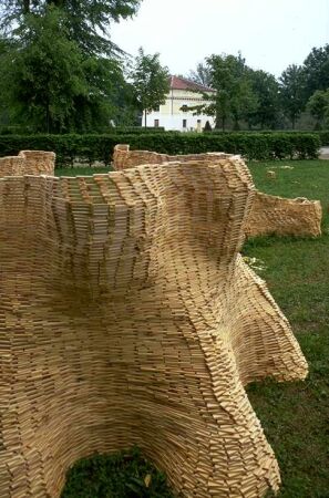 Biennale in mostra