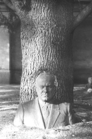 Cimitero monumentale: uomo e pianta