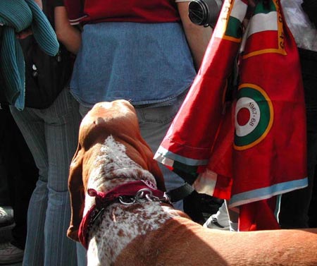 4 maggio 2003: la marcia dell'orgoglio granata