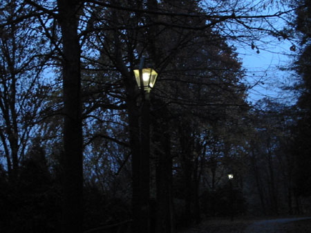 Si accendono le luci