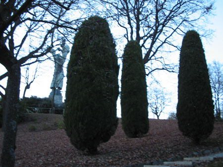 Cipressi alla Maddalena