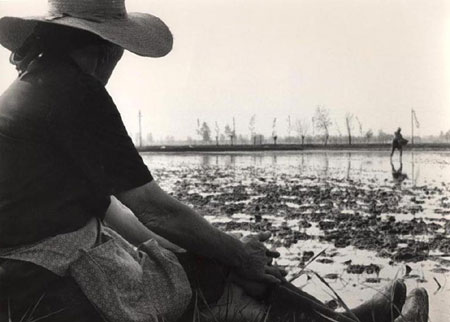 La pausa