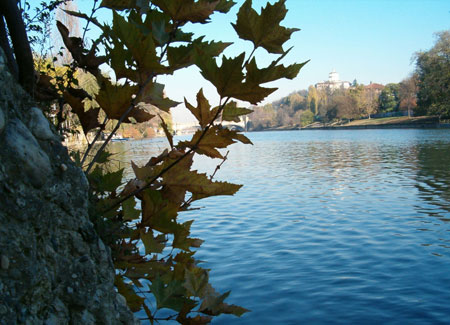 Prospettiva fiume