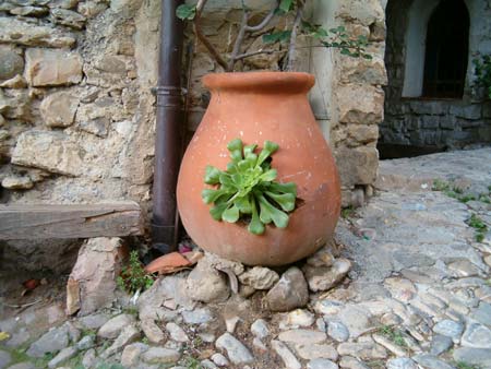Bussana vecchia, particolare