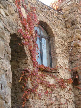 Bussana vecchia, angolo d'autunno