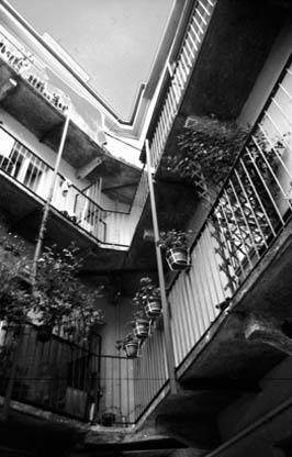 Ballatoi interni ad un cortile