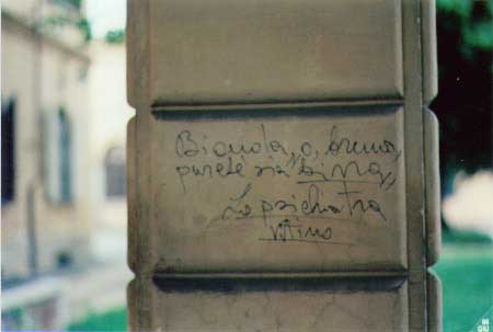 ''Bionda o bruna, purchÃ¨ sia birra'' Lo psichiatra Vitino. Scritta su una colonna del manicomio di Collegno