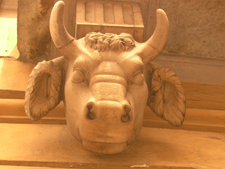 Toro Torino