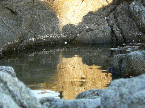 Specchio delle mie brame