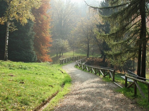Passeggiando in collina