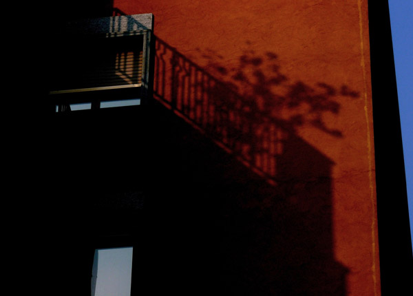 Green shadow, in Corso Dante, angolo Via Chiabrera